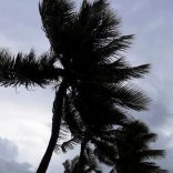 Gusts.rm_