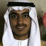 Hamzabll