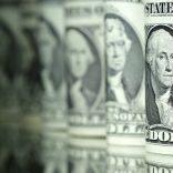 Dollardollardolllar