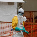 Ebolafileafn