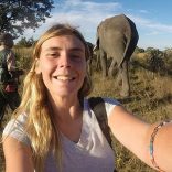 Ellywarren.change.org_