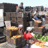 Stalls.lusa_