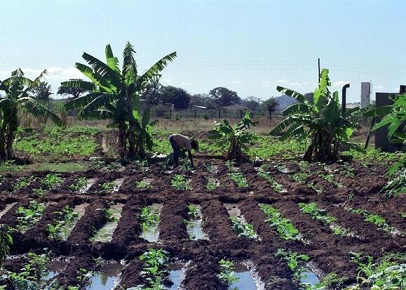 Farminglusafile1