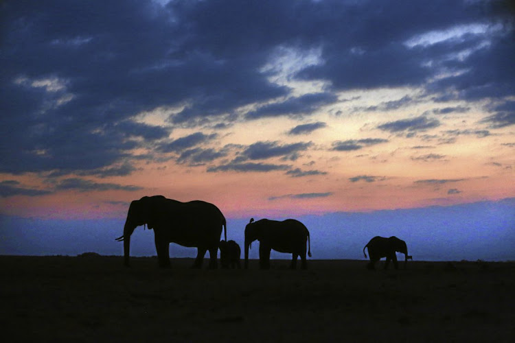 Krugerparkfilepic