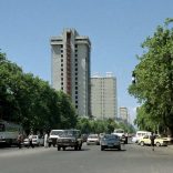 Maputofilepiclusa