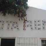 Renaminhambane.dw_