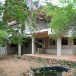 Marloth-park-murder-house-002-1