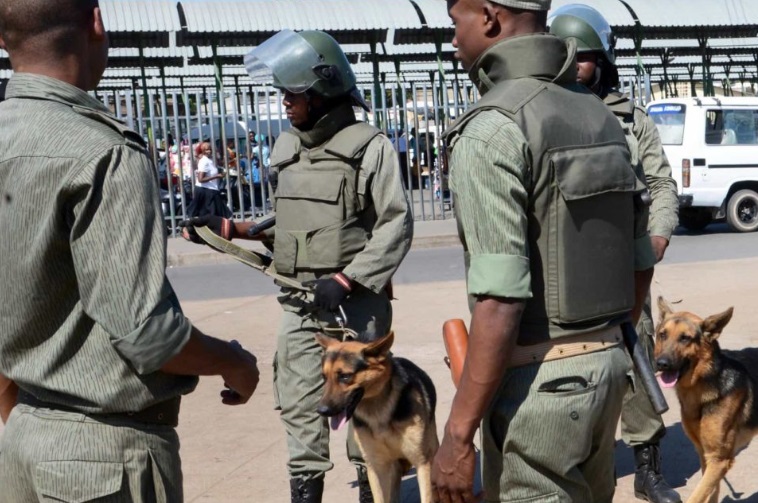 Policemoz.savana