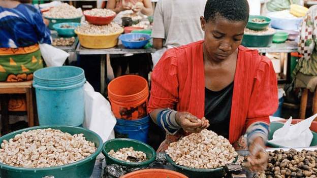 cashew nut trading