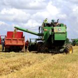 Agriculture.macauhub.15.5.2018-1