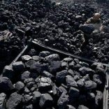 Coalfilefe