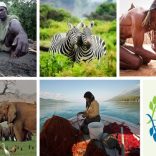 Equatorprizundp