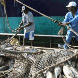 Fishing.fishermen.not_