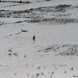 Floods.q.dw_