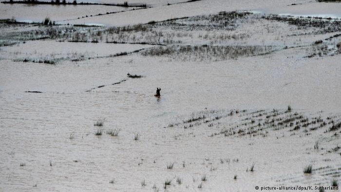 Floods.q.dw_