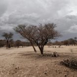Landafp