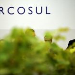 Mercosrubrafp
