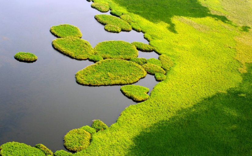Sswetlands
