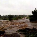 CHUVAS-1