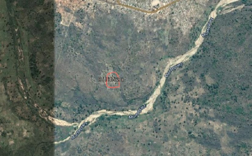 Bilibizagmaps1