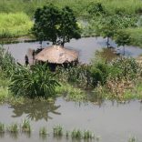 Floods2020lusa