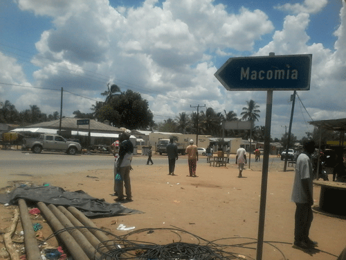 Macomia.not_
