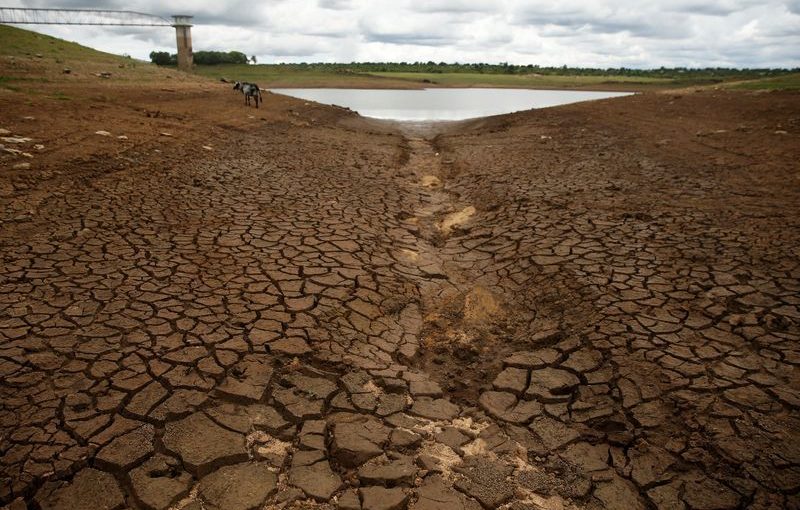 Zimdroughtr