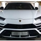 Lambo