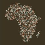 Africaapn24