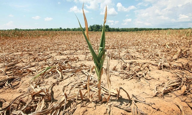 Drought.mozambique.mozambiqueresourcespost-1