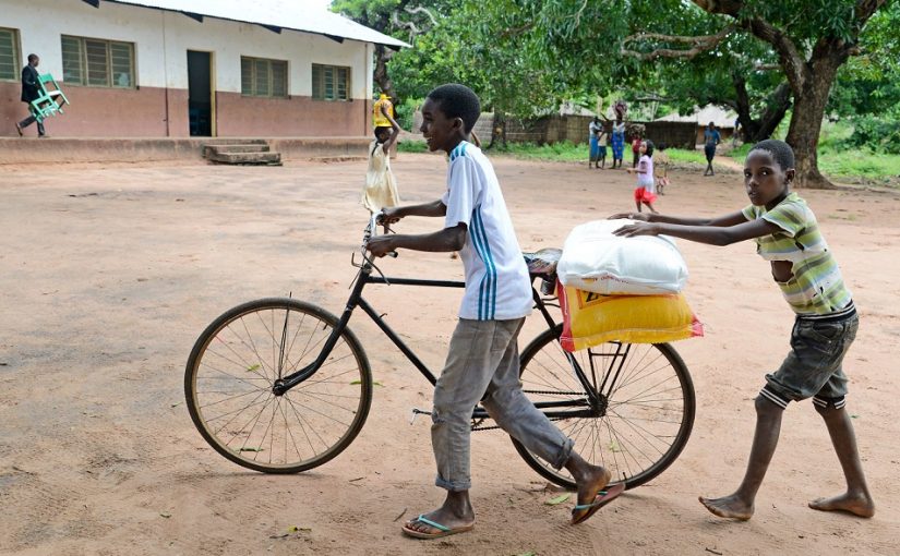 Mozambiquefilelusa