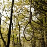 Ropetree