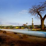 Sasolsasolf