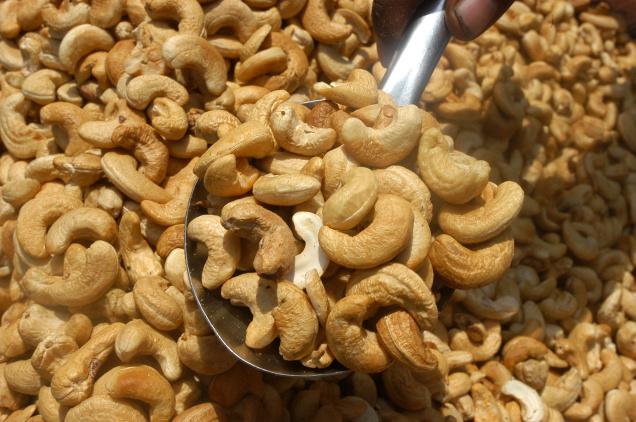 Cashew-1