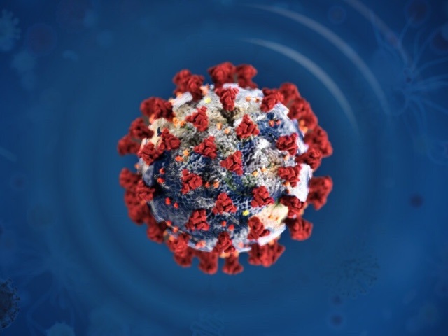 Cvcvc-1