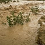 Floodspic.dw_