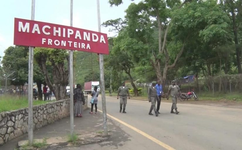 Machipandasenami