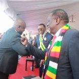 Masisiiharare