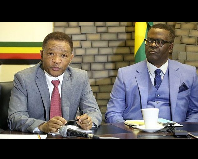 Zim11ml