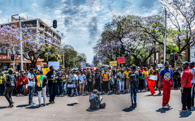Africal.afarg_