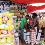 Importers.market.cv_.not_