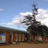 Malawih