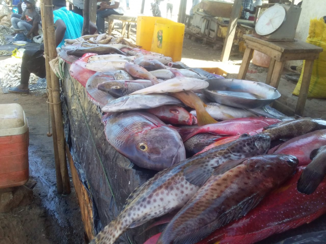 Fisheries.rm_