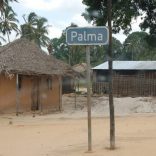 Palmapalma
