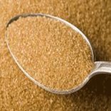 Sugarbr.noticias