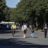 Villaborghese