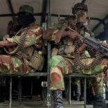 Zimsoldiers.zim_