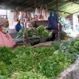 FRUTAS-
