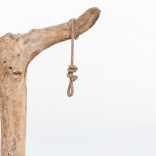 Noosenamibia.boombergl