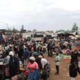 Zimpetomarket.file_.not_